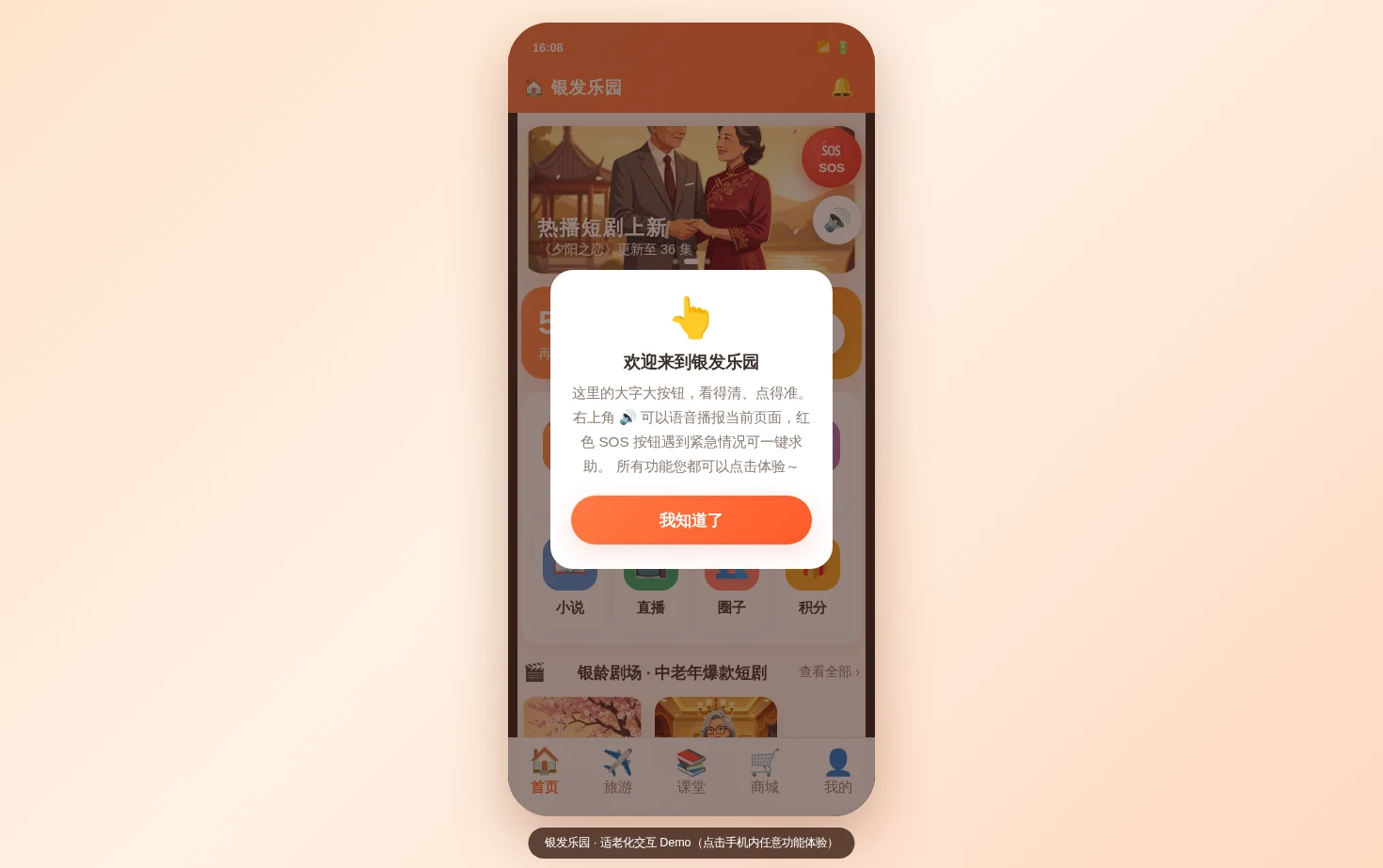 银发乐园 页面快照